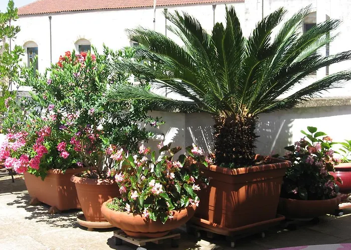 Corte Barocca Nocleg ze śniadaniem Lecce