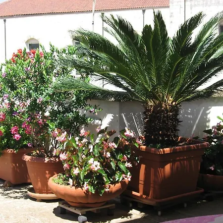 Corte Barocca Bed & Breakfast Lecce